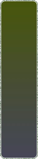 shapeimage_14