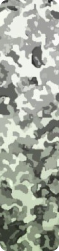 shapeimage_13
