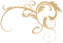 shapeimage_17