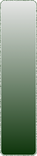 shapeimage_15